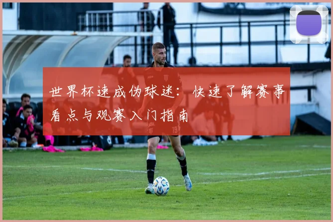 世界杯速成伪球迷：快速了解赛事看点与观赛入门指南