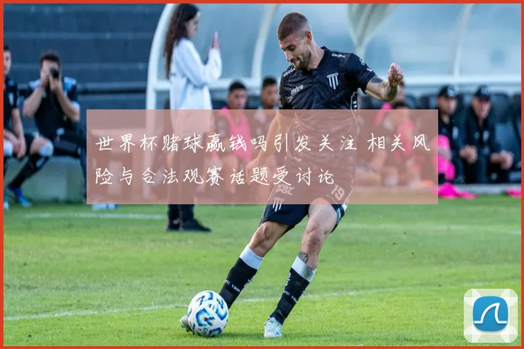 世界杯赌球赢钱吗引发关注 相关风险与合法观赛话题受讨论
